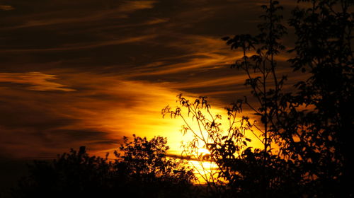 Silhouette plants against dramatic sky during sunset