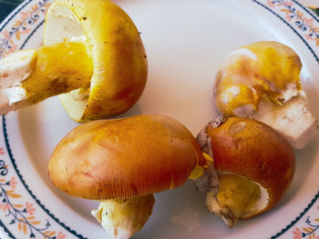 High angle view of fruits in plate on table