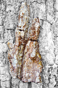 Full frame shot of weathered wall