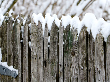 Close-up of snow on wood during winter