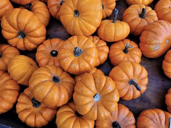 Full frame shot of pumpkins for sale at market