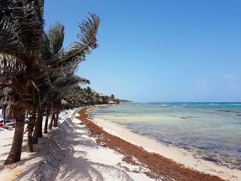 Scenic view of beach against clear blue sky