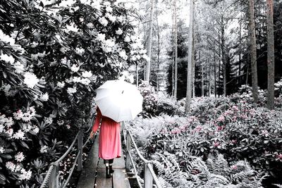 Rear view of person with red umbrella