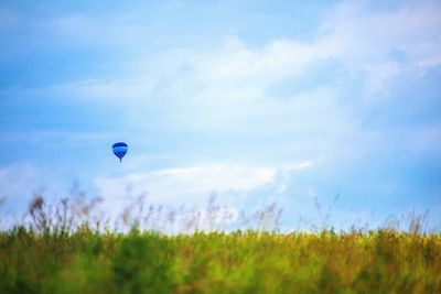 Surface level of grassy field against cloudy sky