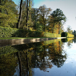 Scenic view of lake in forest during autumn