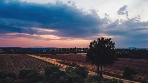 Scenic view of agricultural field against sky during sunset