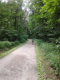 Rear view of people riding bicycle on road in forest