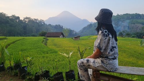 Scenic view of agricultural field against sky