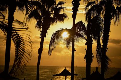 Silhouette palm trees at beach during sunset
