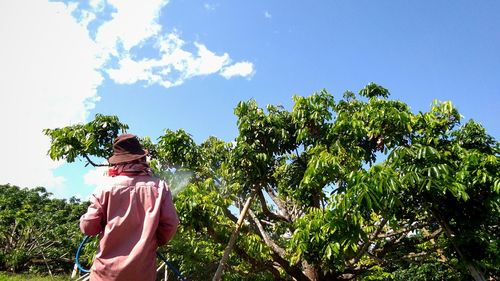 Rear view of gardener watering tree at farm against sky