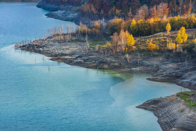 Scenic view of sea against trees