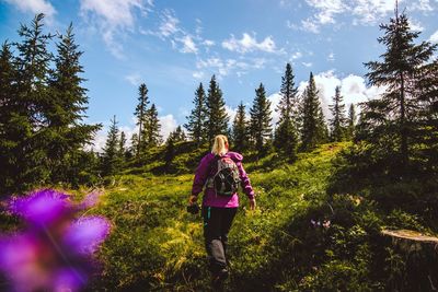 Rear view of woman with backpack hiking against sky in forest