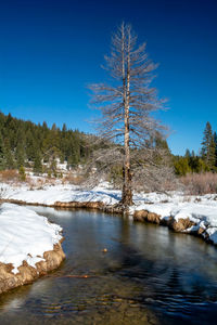 Scenic view of snow covered land against clear blue sky