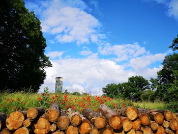 Stack of logs on field by trees against sky
