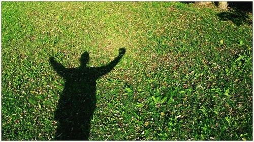 Shadow of people on grassy field