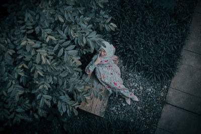 High angle view of girl standing by plants