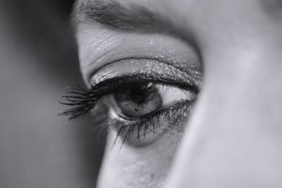 Close-up of woman eye