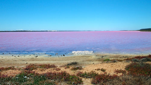 Scenic view of sea against blue sky