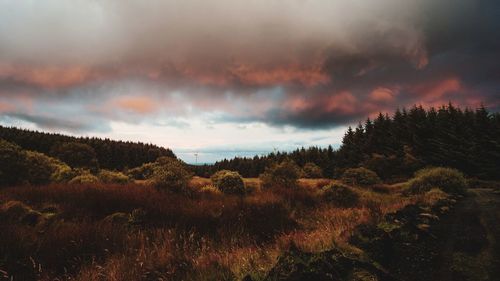 Scenic view of landscape against sky during sunset