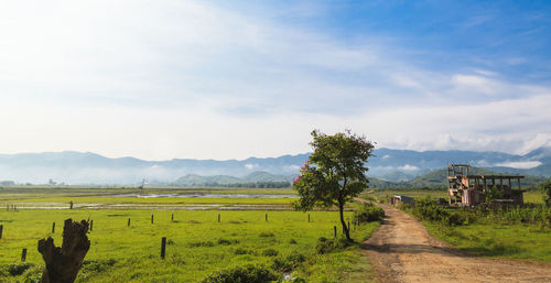 Scenic view of agricultural field against sky