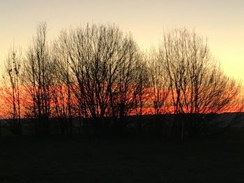 Silhouette bare trees on field against sky during sunset