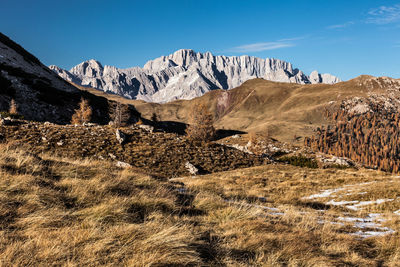 Autumn mountain pasture in the background of the dolomites