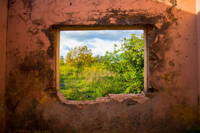 View of abandoned window