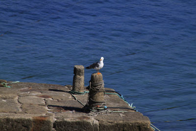 Scenic view of sea against blue sky