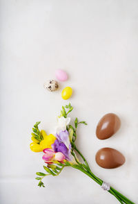 High angle view of multi colored flowers on white background