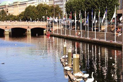 Bridge over river