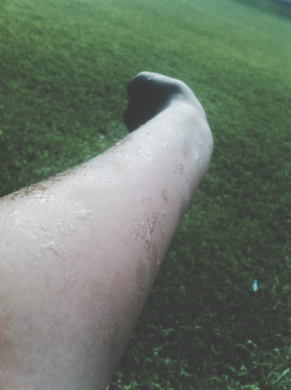 grass, close-up, green color, field, grassy, part of, focus on foreground, cropped, one person, day, outdoors, person, sunlight, nature, high angle view, growth, unrecognizable person, personal perspective, selective focus