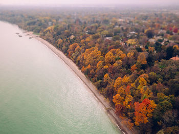 High angle view of river amidst trees during autumn