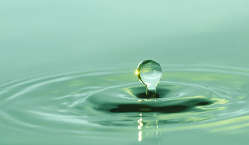 Close-up of drop falling on water