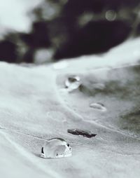 Close-up of snow on wet glass