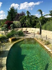 Swimming pool by trees against sky