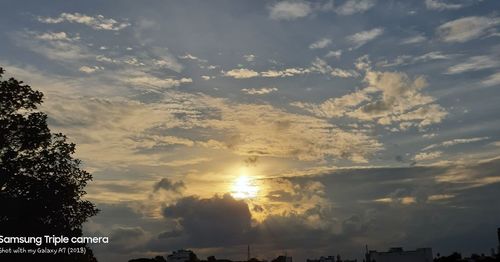 Low angle view of silhouette trees against sky during sunset