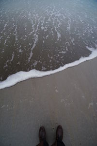 Low section of man standing on beach