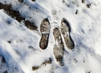 High angle view of footprints on snow field