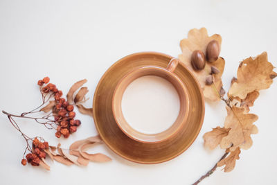 High angle view of dead plant against white background