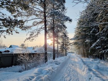 snow