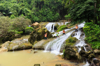 Scenic view of waterfall in forest
