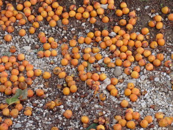 High angle view of pebbles in sea