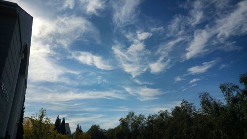 Low angle view of trees against cloudy sky