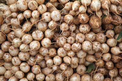 Full frame of dirty dikon radishes for sale at market