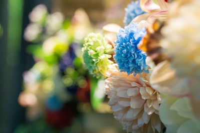 Close-up of multi colored flower plant