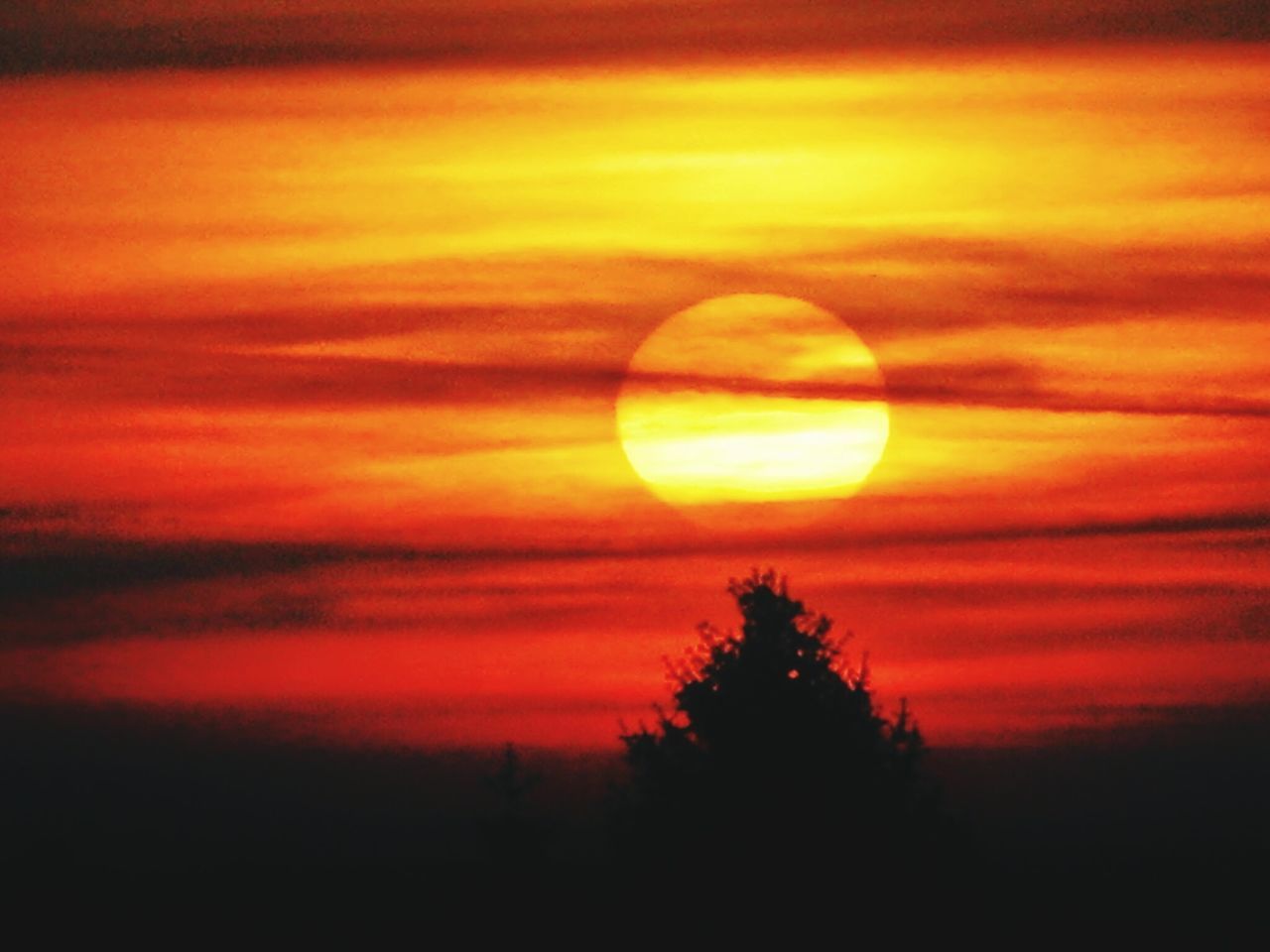 sunset, orange color, sky, scenics, beauty in nature, silhouette, sun, tranquility, tranquil scene, cloud - sky, nature, idyllic, dramatic sky, landscape, cloud, tree, majestic, atmospheric mood, outdoors, no people