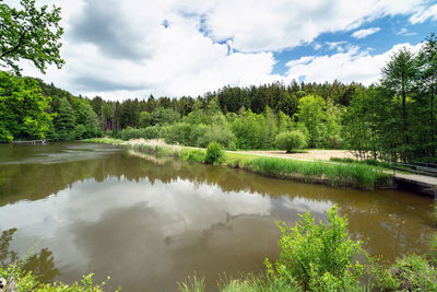 Scenic view of lake by trees against sky