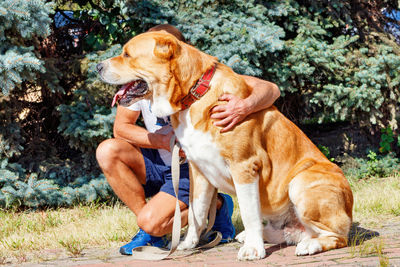 View of a dog sitting outdoors