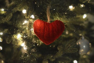 Close-up of red heart shape on tree