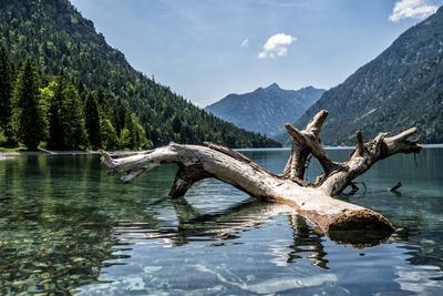 nature